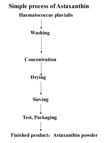 flow chart