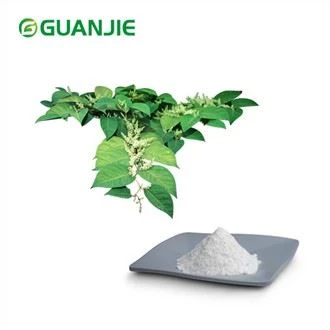 Pudră de resveratrol pur
