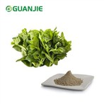 Pudră de extract de Andrographis Paniculata