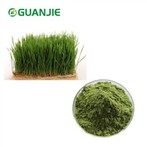 Pulbere organică de iarbă de grâu