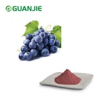 Pudră de extract de semințe de struguri pur